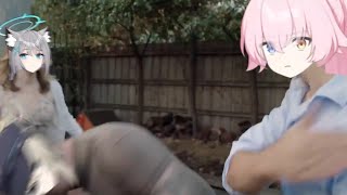 [蔚藍] 星野目前戰績 主線雷