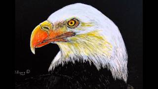 Birds of Prey.........Art Painting of Birds of Prey