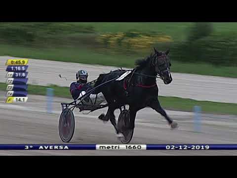 Aversa trotto 2 Dicembre 2019 - 3° Corsa Premio LIGABUE