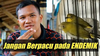 Download lagu Cara memilih pleci buxtoni prospek menurut Mas Iman Abidzarr koplo team mp3 Download lagu Cara memilih pleci buxtoni prospek menurut Mas Iman Abidzarr koplo team mp3