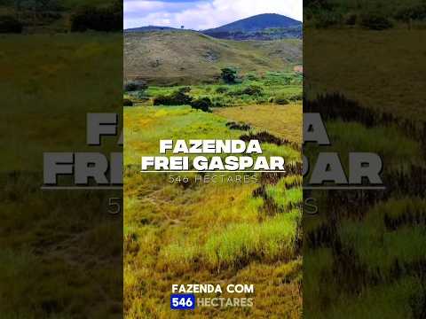 EXCELENTE PROPRIEDADE 546 HECTARES FRE GASPAR-MG R$ 9.600.000,00 #gado #fazenda #agro #minasgerais