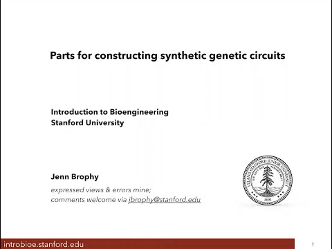 M3A4 Parts for synthetic genetic circuits