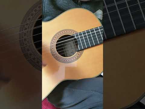 Yamaha GC-30 Grand Concert Classical Guitar Ezaki 1992 Solid Spruce, IRW image 13