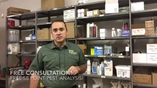 What NOT to do for Ants in Your Kitchen or Bathroom - Fayetteville Georgia Termite and Pest Control