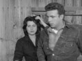 Bene And Gioia Wild Is The Wind 1957 Anna Magniani