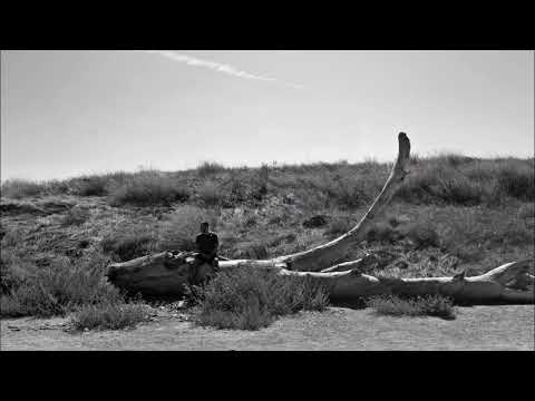 Pablo Hasél - Solamente Solo