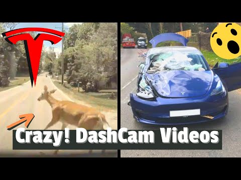 Unreal Tesla DashCam Compilation❗️Must See Car Crashes, Deer, and Rage 🚗 TeslaCam Footage