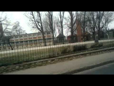 296-os busz - Rákos úti szakrendelő - Szolgáltatóház (BPI-050)