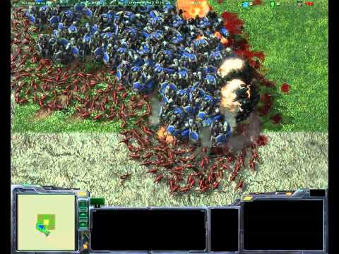 1000 Zergling vs 50 Thor