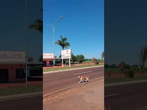 05/12/25, Carumbé, Itaporã, MS.#viagem #turismo #carumbé #itaporã #matogrossodosul
