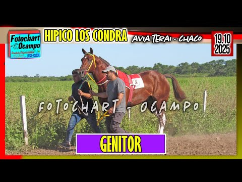 GENITOR Avia Terai CH 19 10 2025