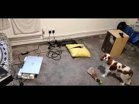 LOCKDOWN SESSIONS Corona Blues