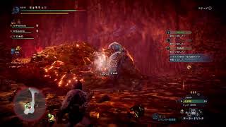 【参加型】セリエナ祭 情熱の宴！【MHW:IB】