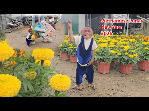 Su excited go shopping for Vietnamese Lunar New Year with mom