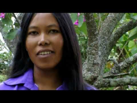 Jesosy no Lalana Feo Famonjena Ambohimahitsy