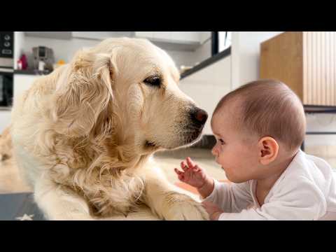 YouTube 썸네일