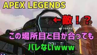 【APEX LEGENDS】【神回！】この場所敵と目と目が合ってもバレない！？【エーペックスレジェンズ】