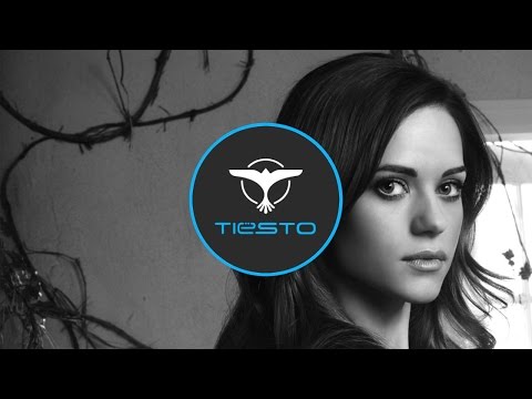 DJ Tiesto   Lethal Industry (Best Part)