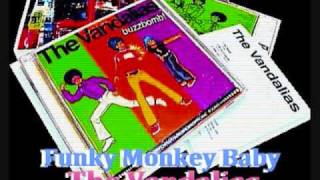 The Vandalias/Funky Monkey Baby(Carol's cover)