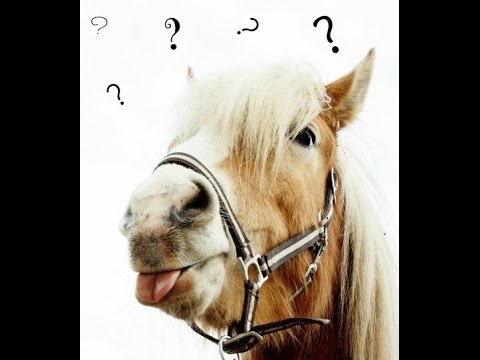 comment trouver le proprietaire d'une voiture avec l'immatriculation