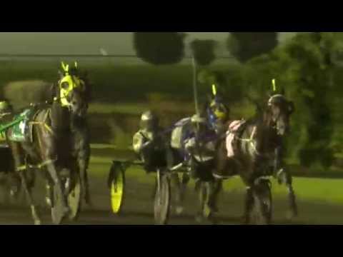 2015 BC 3 - yr old Colt Pace - Freaky Feet Pete