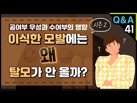 [모빈치TV] 이식한 모발에는 왜 탈모가 안 올까? - 공여부 우성과 수여부의 영향