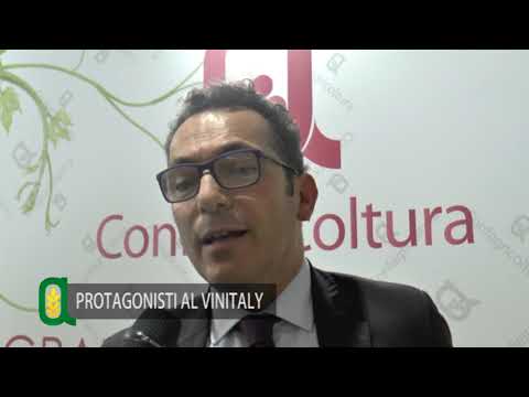 Agritg 1^ puntata - Speciale Vinitaly