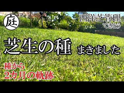 種から芝生を蒔く時期と方法は?適切な期間とその手順! 庭園