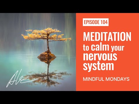 (No Ads) Meditation to calm your nervous system | Everyday Alex 104 | Mindful Monday