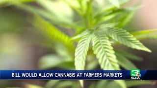 California bill would allow cannabis growers to sell products at farmers markets