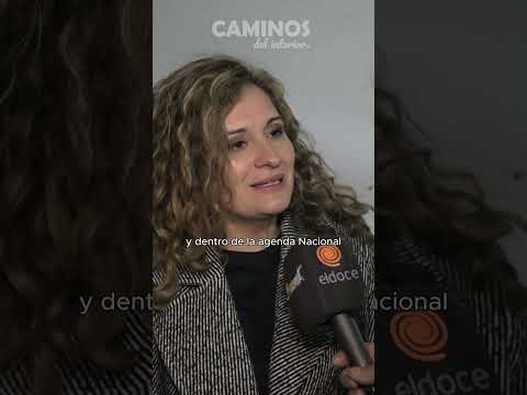 Fiesta de la Mandarina l Quilino l #caminosdelinterior