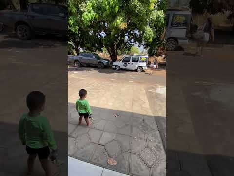 Conhecendo a famosa lagoa da confusão em Tocantins