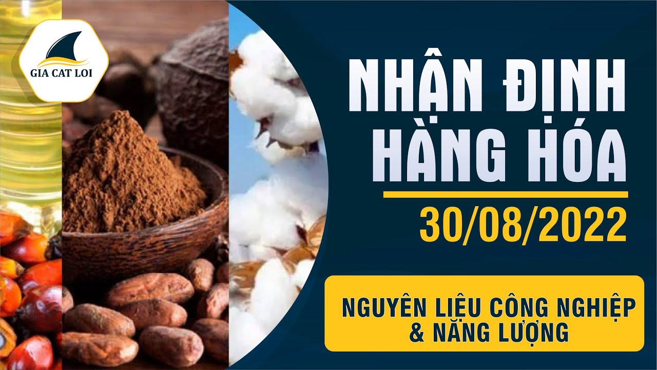 Nhận Định Thị Trường Năng Lượng & Nguyên Liệu Công Nghiệp Ngày 30/08/2022