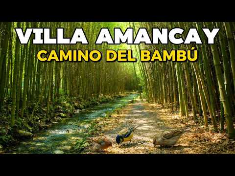 【4K】El Paraíso Oculto de Calamuchita, VILLA AMANCAY - CÓRDOBA 🌄 Camino del Bambú