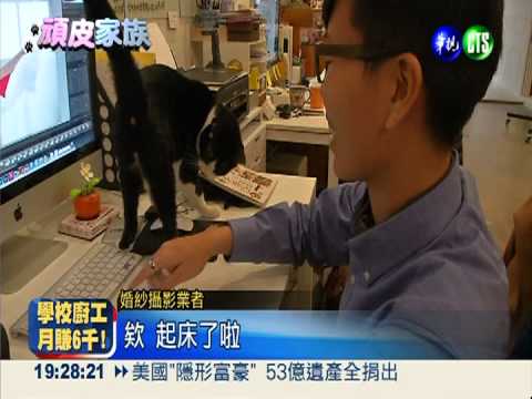 超人氣婚紗攝影 俏皮小貓咪入鏡