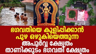 Temple video