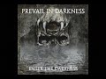 Prevail In Darkness - All It Takes (official lyrics ...