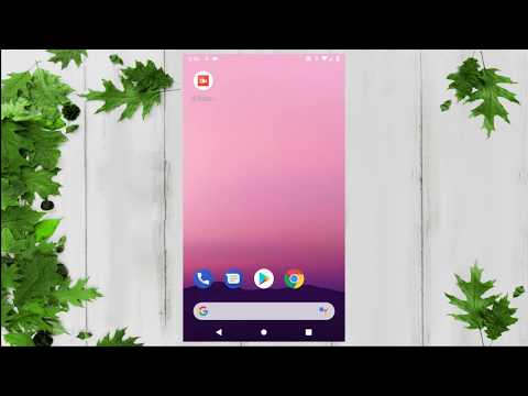 Background voice recorder Video