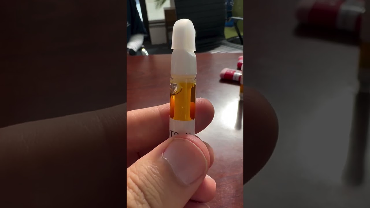 CAT4 Certified | 3.0 leveled up one more time.#MAVGA #WFTP