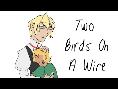 Two Birds On A Wire | Ace Attorney Animatic | Gavin Brothers