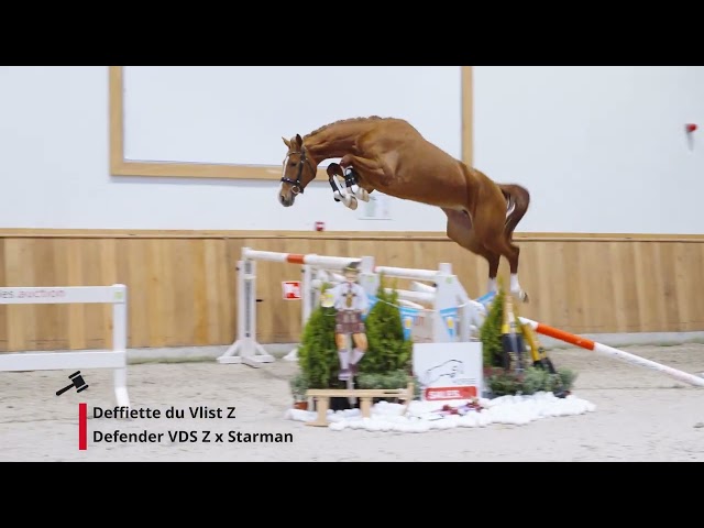 Deffiette du Vlist Z