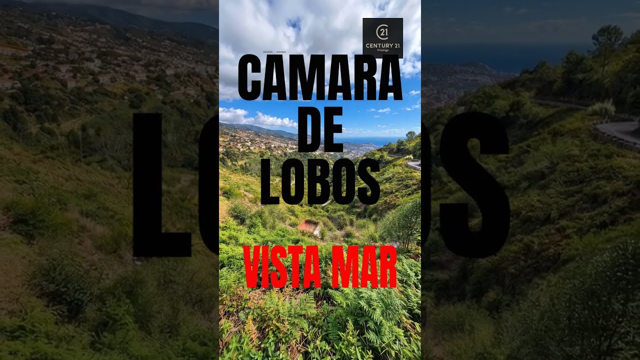 Vídeo do imóvel