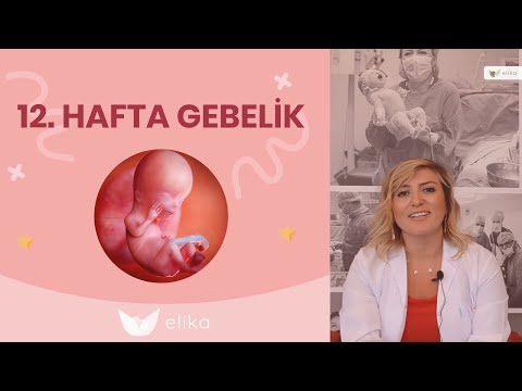 12 Hafta Gebelik - Gebelik Süreci - Elika Tv