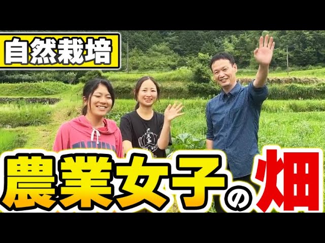 自然栽培に取り組む若き実践者の畑|岐阜県恵那市の圃場と9月キャンプ