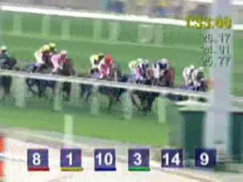 Mercedes Benz Hong Kong Derby 2009 - Vencedor: Collection