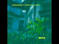 David Binney-Kenny Wollesen - Basu (Full Album)