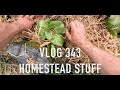 Whitebait West Coast New Zealand And Homestead VLOG With Josh James