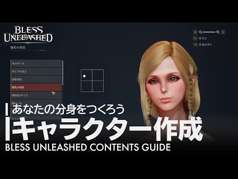 ڸۡ12˥饯[ƥĥ]BLESS UNLEASHED PC