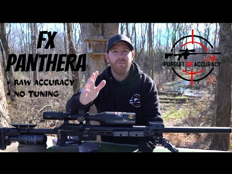 FX PANTHERA 700mm .22 RAW ACCURACY TEST WITH ZAN SLUGS