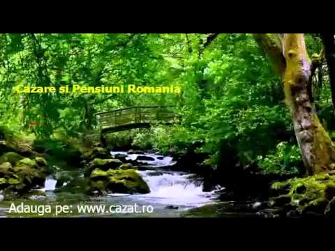 Cazare Piscoiu, Gorj - Cazat.ro